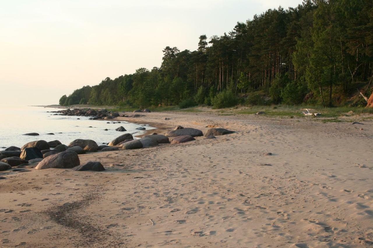 DzeņiJaunzemji别墅 外观 照片